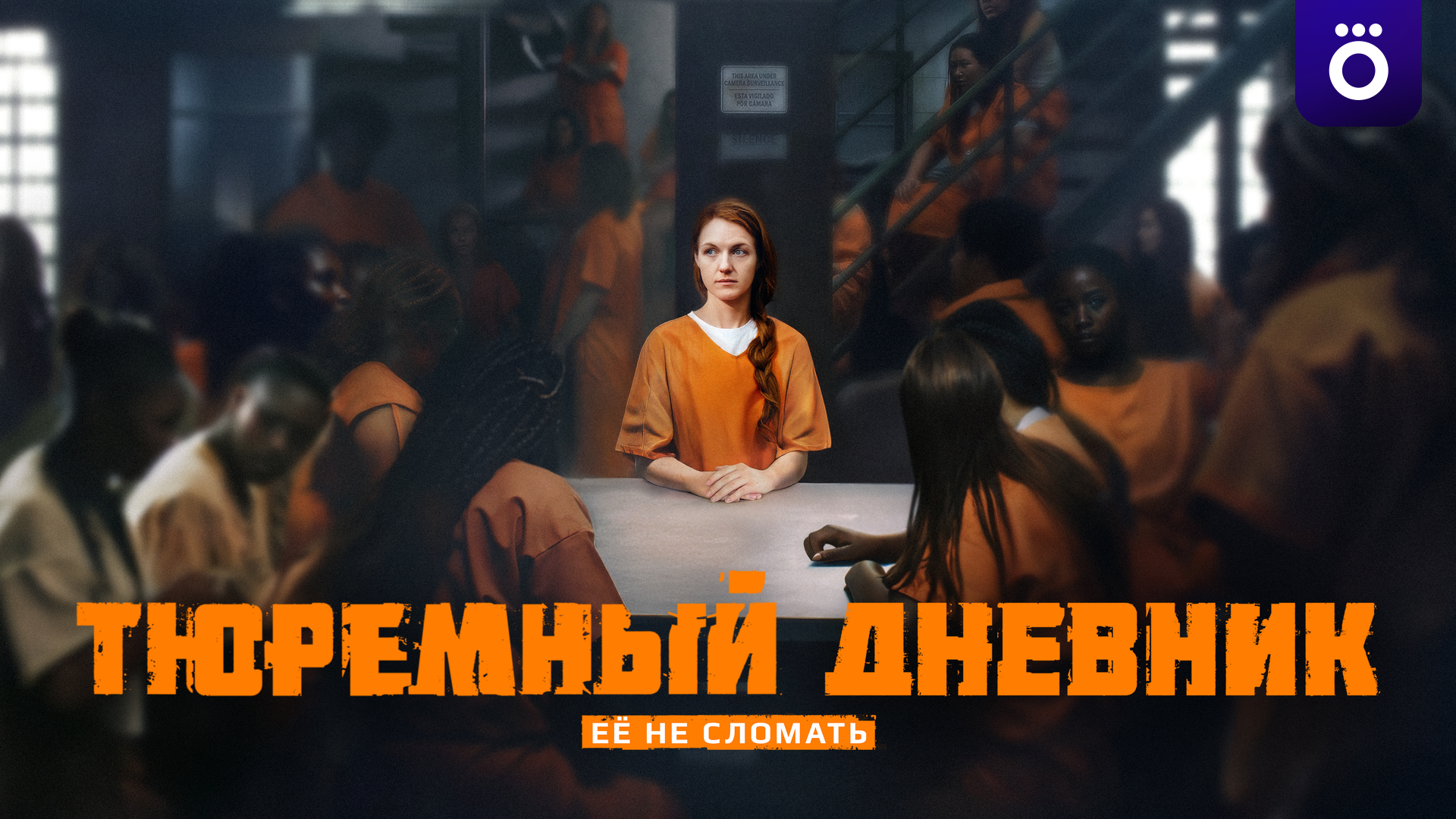 Тюремный дневник