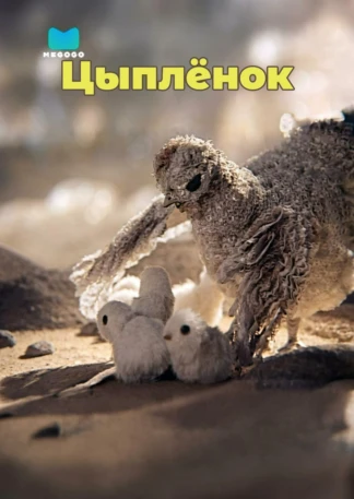 Цыплёнок