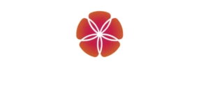 Дорама