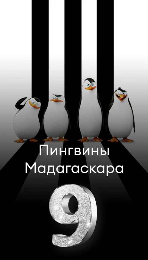 Баннер Collection — 9